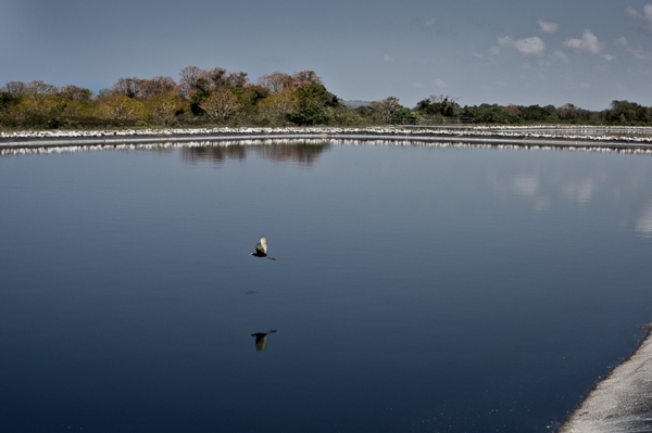 http://servicesaws.iadb.org/wmsfiles/images/0x400/image1-gallery-water-3496.jpg